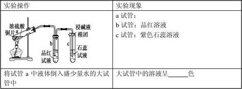 必修1第四章第四节 氨 硝酸 硫酸第2课时学案word文档在线阅读与下载无忧文档