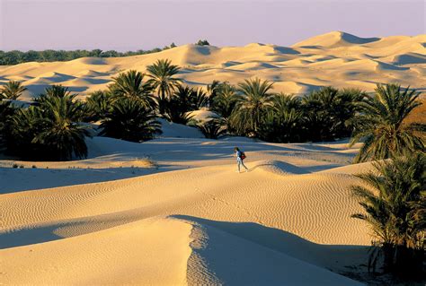 Douz travel | Tunisia - Lonely Planet