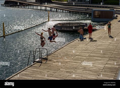 Swimmers Jumping Into The Water At Kalvebod Brygge Waterfront