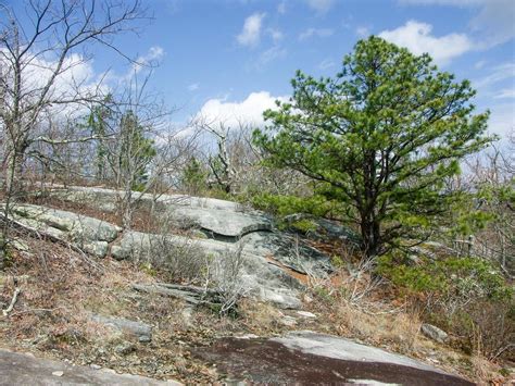 Stone Mountain Trail On Hikewnc