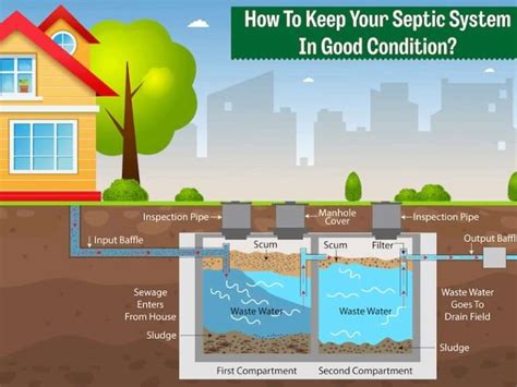 Do S And Don Ts Of Septic Tank Care