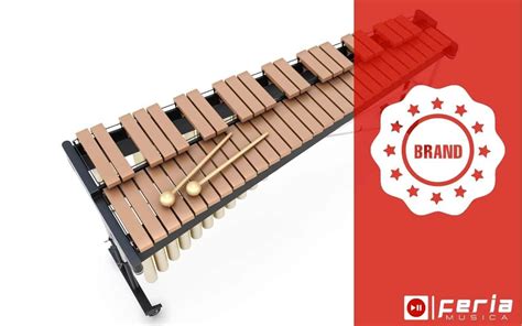 Les 10 Meilleurs Xylophones Guide De 2025 Feria Musica