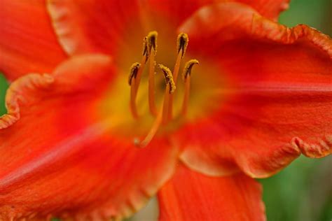 Come Pour The Wine Photograph By Michiale Schneider Fine Art America