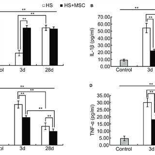 Mscs Modulated Pro Inflammatory And Anti Inflammatory Reactions Of Hs