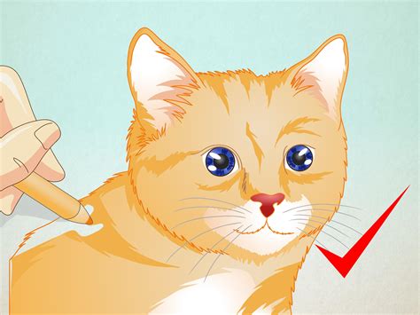 How to Draw a Cat Face: 8 Steps (with Pictures) - wikiHow