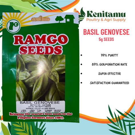 Basil Genovese Seeds 5g By Ramgo Lazada Ph