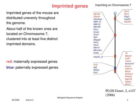 Ppt V3 Regulation Of Imprinted Genes Powerpoint Presentation Free