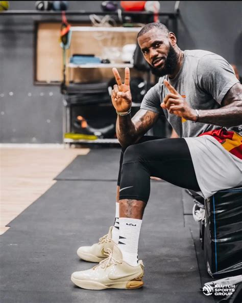 Lebron James Shows Off Nike Lebron Purple Rain