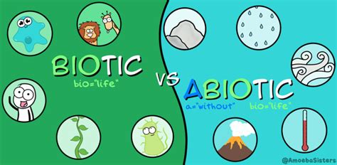 Biotic And Abiotic Factors Oer Commons