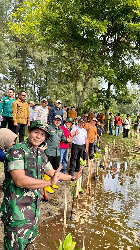 Penanaman Mangrove Serentak Di Seluruh Indonesia Bangun Harmoni Dengan