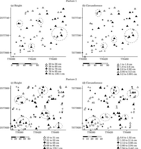 Scielo Brasil Spatial Variability And Vitality Of Epigeous Termite