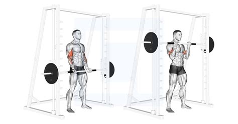 Smith Machine Bicep Curl - Guide, Benefits, and Form