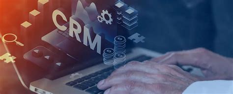 The Importance Of Crm For Small Businesses Seeroo It Solutions