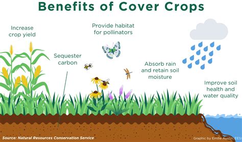 Agricultural Carbon Credits And Carbon Farming Guide