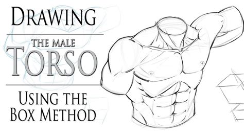 Torso Anatomy Drawing How To Draw The Torso Easier An Illustrated