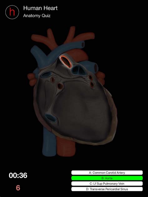 Human Heart Anatomy Quiz | iPhone & iPad Game Reviews | AppSpy.com