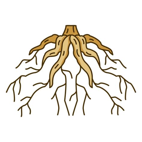 Tree Roots Design Png And Svg Design For T Shirts