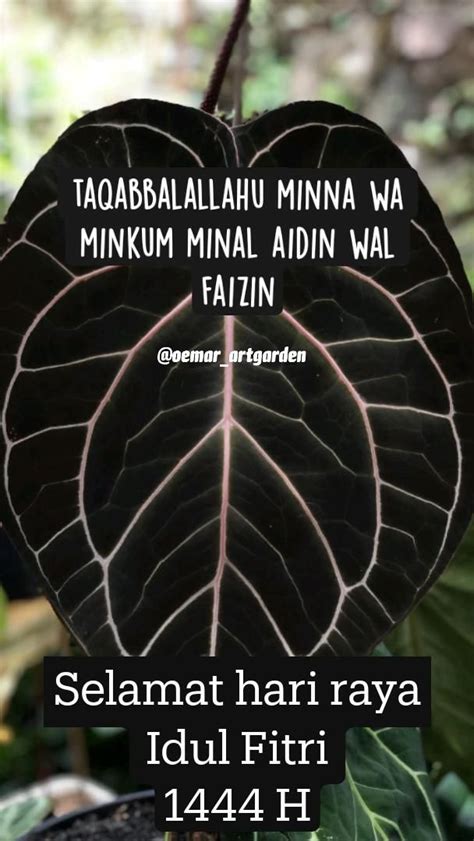 Taqabbalallahu Minna Wa Minkum Minal Aidin Wal Faizin Selamat Hari Raya