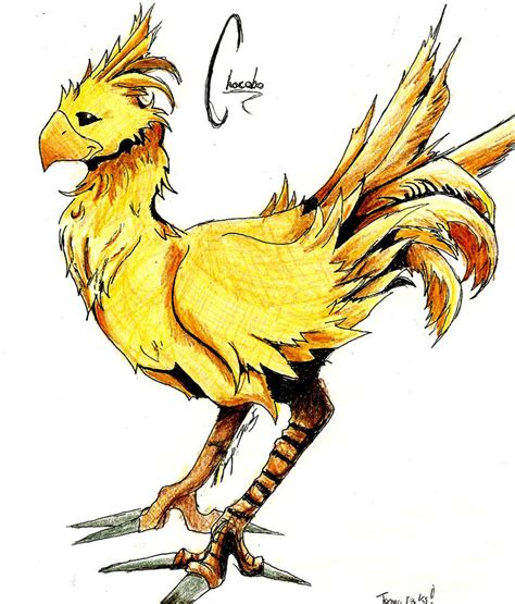 Chocobo by EgyptianTrinity on DeviantArt