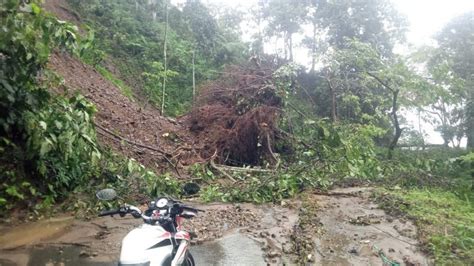 Tanah Longsor Dan Pohon Tumbang Tutup Jalur Lintas Selatan Lumajang Malang