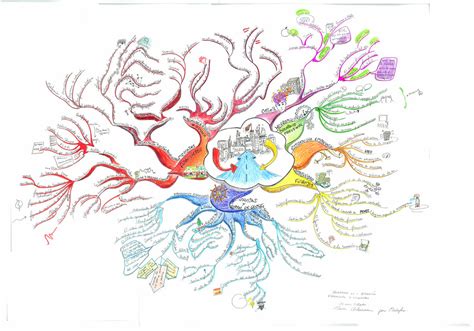 program  financial management  mind map art
