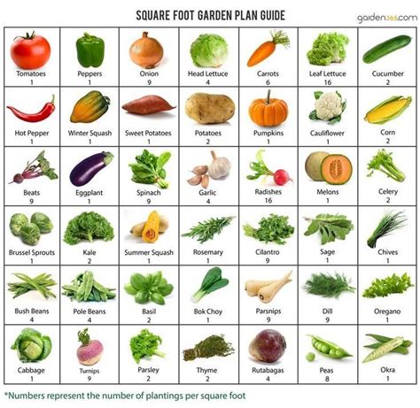 Printable Square Foot Gardening Chart