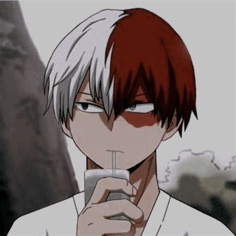 Todoroki Shouto Icon 2024