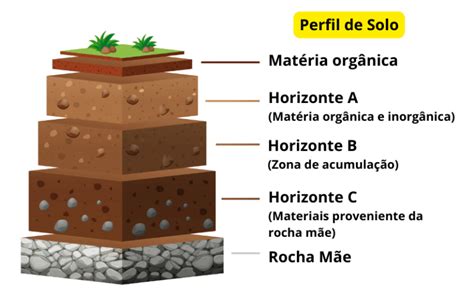 13 tipos de solo que você precisa conhecer AgroPós