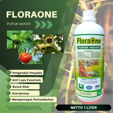 Jual Promo Obat Layu Fusarium Cabe Cabai Pupuk Tricoderma Fungisida