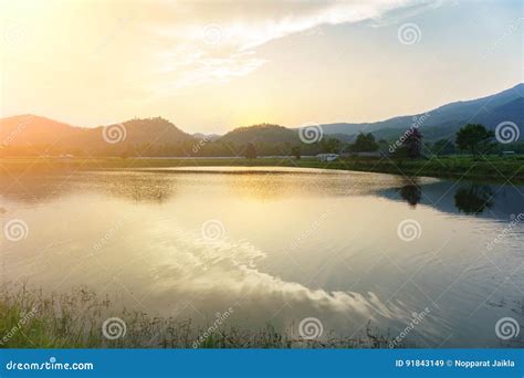 Warning River Bed Hazard At Bridge Sign Stock Image CartoonDealer