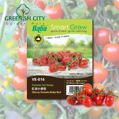 GNC Baba Smart Grow Seeds VE 016 Hybrid Cherry Tomato Ruby Red