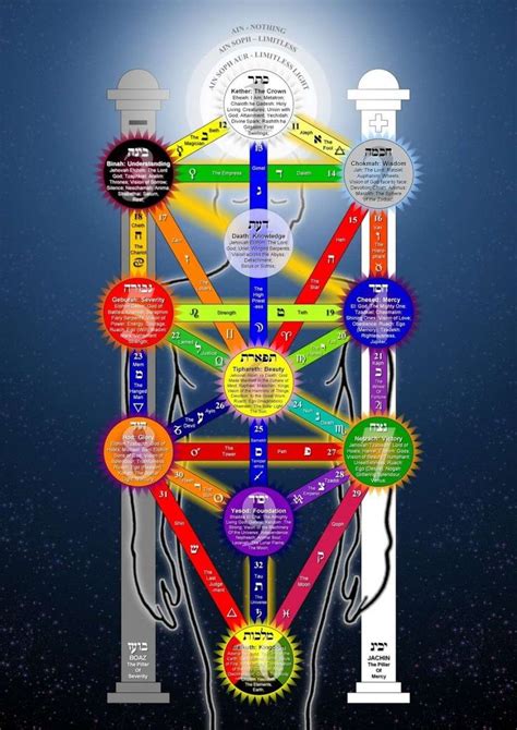 Sephiroths Tree Life Poster Tree Of Life Occult