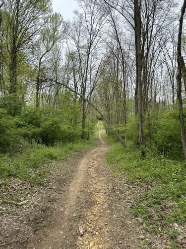 Best Hikes And Trails In Marsh Creek State Park Alltrails