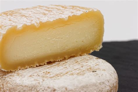 Picodon Fromage de chèvre