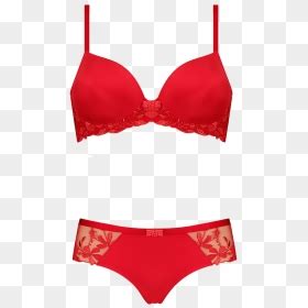 Sexy Lingerie Png Transparent Png Vhv