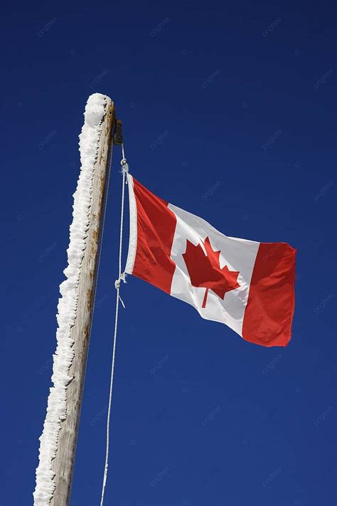 Fondo Bandera Canadiense Turismo Canadá Bandera Foto E Imagen Para