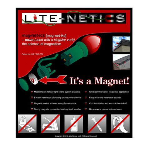 lite netics net worth