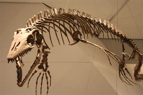 The Largest Collection of Dinosaur Fossils in North America