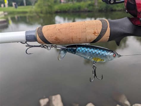 Whopper Plopper The Best Bass Lure For Summer Fishing