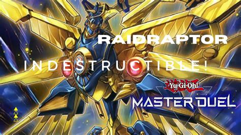 BEST XYZ DECK PURE RAIDRAPTOR DECK SPOTLIGHT Yu Gi Oh Master Duel