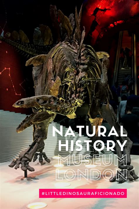 London s dinosaurs a visit to the natural history museum – Artofit