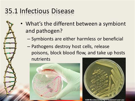 Chapter 35 Immune System And Disease Ppt Download