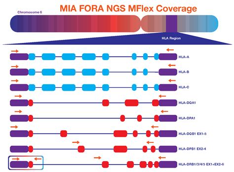 MIA FORA NGS MFlex