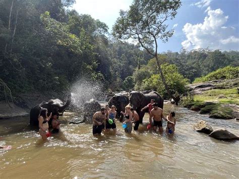 Chiang Mai Waterfall Elephant Sanctuary And Bamboo Rafting Thailand