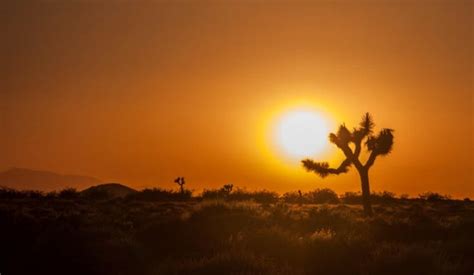 Las Vegas and Mojave Desert on High Alert as Intense Heat Wave