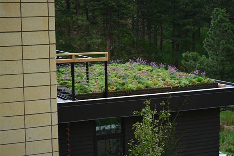 Intermountain Roofscape Supply Liveroof Green Roof Systems