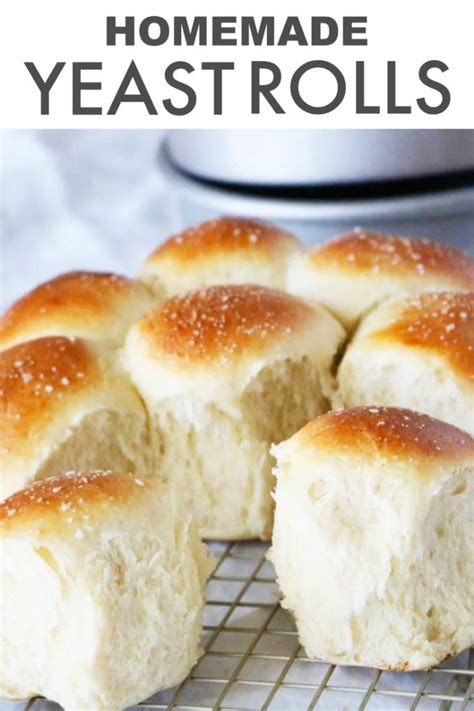 Easy Yeast Rolls (Great for Beginners!)