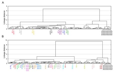 Hierarchical Cluster Analysis HCA Based On Gene Expression Data A