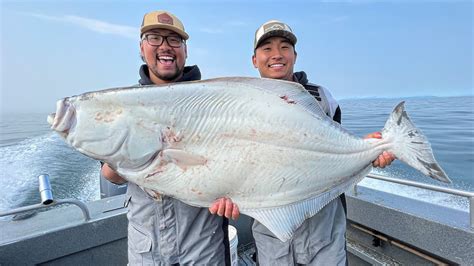 Giant Alaska Halibut Fishing Catch Clean Cook Youtube