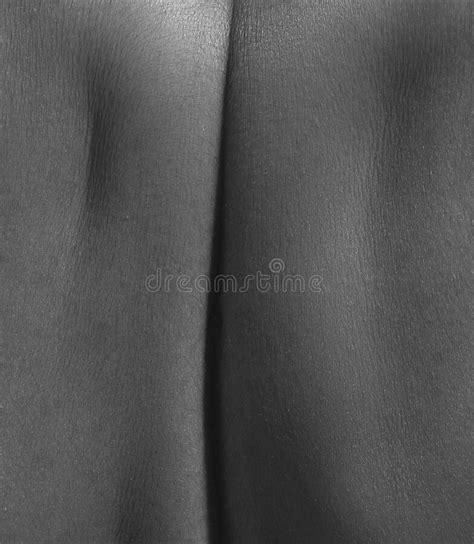 Back Detailed Texture Of Human Female Skin Close Up Part Of Woman S